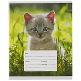 Тетрадь в линейку Listoff, "Котята", 12 листов, в ассортименте