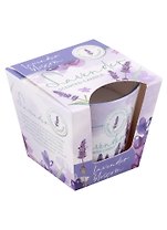 Ароматизированная свеча в стакане Лаванда и мята (Lavender and mint) (115гр) (подарочная упаковка)