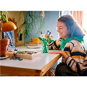 LEGO Botanical Collection: Ромашки и лаванда, 133 детали (11508) - 1