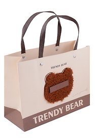 Пакет А5 19,5*24,5*9,5 "Trandy Bear"  горизонт., дет., бум.мат.ламинат