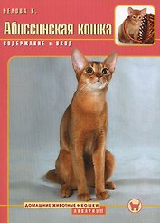 Абиссинская кошка Содержание и уход