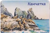Магнит Сивучи лежбище (картон) (Петропавловск-Камчатский) (МК/200/003)