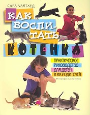 Как воспитать котенка