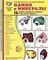 Демонстрационные картинки "Камни и минералы". 16 демонстрационных картинок с текстом на обороте - 0