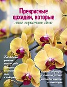 Прекрасные орхидеи, которые легко вырастить дома - 0