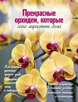 Прекрасные орхидеи, которые легко вырастить дома