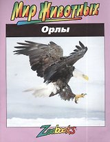 Орлы