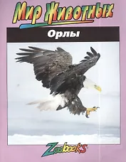 Орлы