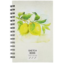 Скетчбук А5 100л "SKETCHBOOK. Лимоны", 100г/м2, евроспираль