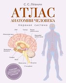 Атлас анатомии человека. Нервная система - 0