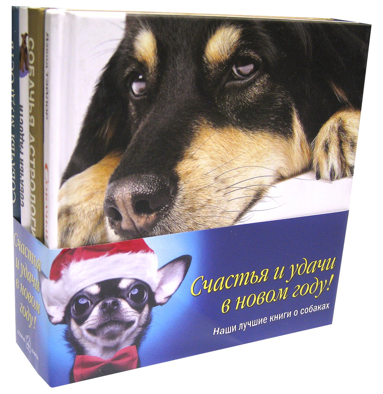 

Наши лучшие книги о собаках (комплект из 4 книг)
