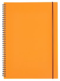 Тетрадь общая «Favorite Color. Neon Orange», 80 листов в клетку, А4 - Listoff
