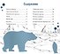 За полярным кругом. Серия "Планета Животных" (Соц. значимая 2023) - 2
