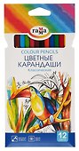 Карандаши цветные «Классические», ГАММА, 12 цветов - 0