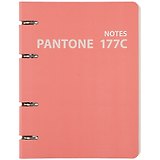 Тетрадь на кольцах в клетку Listoff, "Pantone line 177С", 120 листов