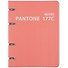 Тетрадь на кольцах в клетку Listoff, "Pantone line 177С", 120 листов - 0
