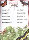 Насекомые - 1