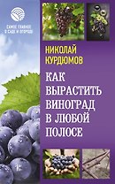 Как вырастить виноград в любой полосе