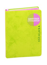 Записная книжка А6, 96 листов в клетку, малиновая/салатовая, экокожа, Escalada