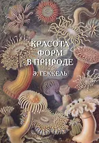 Красота форм в природе. Э. Геккель