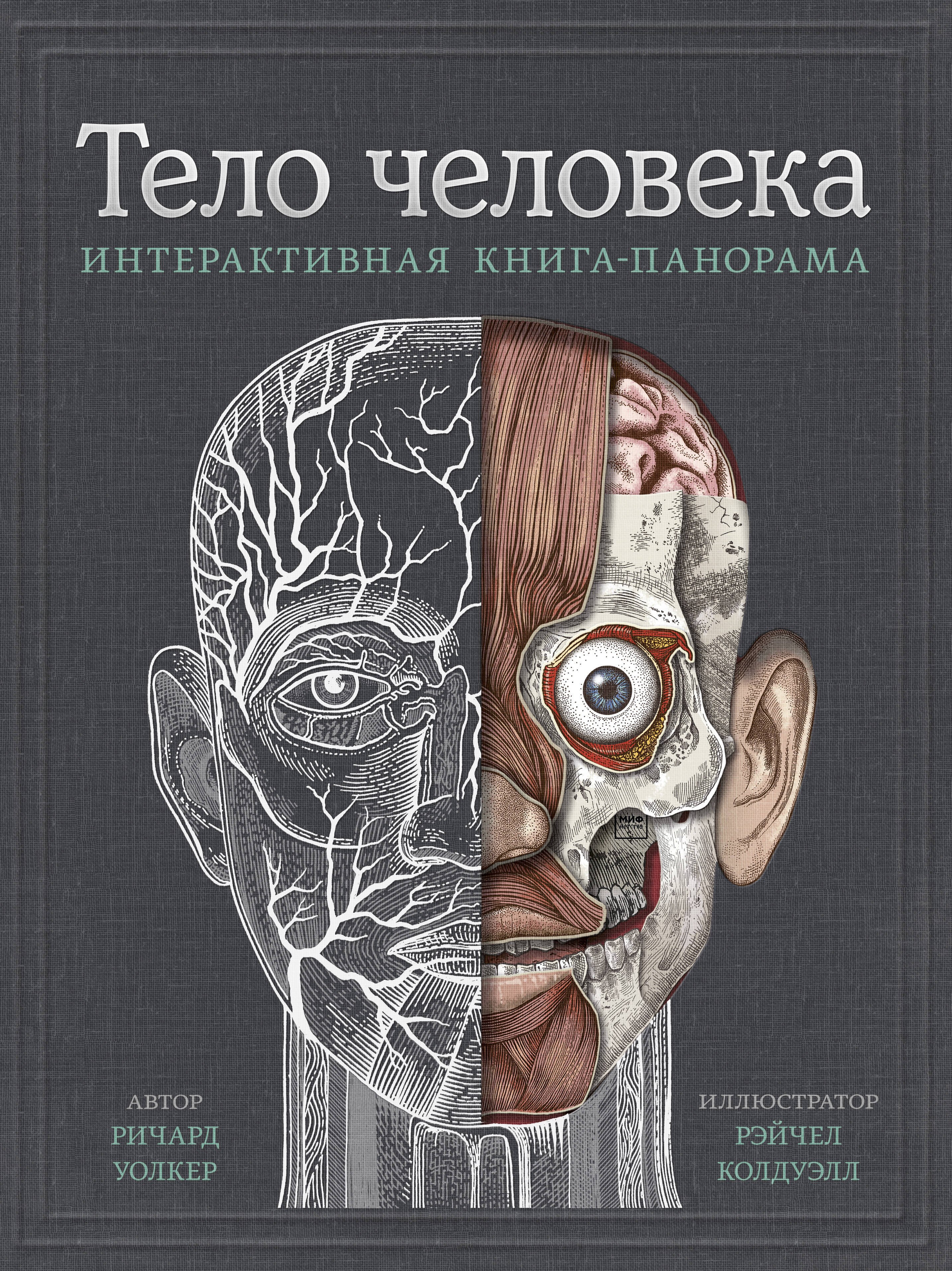 

Тело человека. Интерактивная книга-панорама