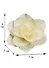 Природный декор, Розы (2шт) - 1