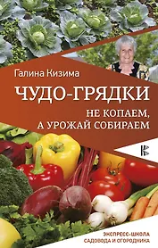 Чудо-грядки: не копаем, а урожай собираем