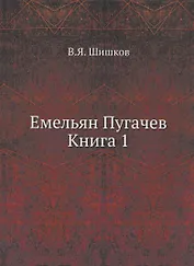 Емельян Пугачев. Книга 1
