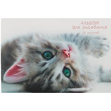 Альбом для рисования «Пушистые лапки» Listoff А4, 20 листов, склейка