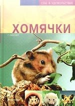 Хомячки