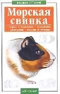 В вашем доме:Морская свинка