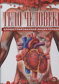 Тело человека (+ постер А1)