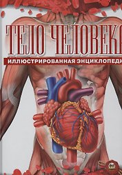 Тело человека (+ постер А1)