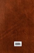 Прыжок над бездной : фантастические произведения - 1
