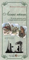 Животный мир «Лесные птицы.  …И песню раннюю запел в лазури жаворонок звонкий»