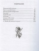 Поэмы (Кавказский пленник Братья разбойники Бахчисарайский фонтан Цыганы Граф Нулин Полтава Домик в Коломне Медный всадник) - 1