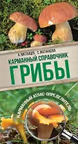 Грибы. Карманный справочник-определитель