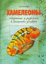 Хамелеоны: Содержание и разведение в домашних условиях
