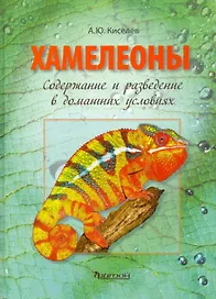 Хамелеоны: Содержание и разведение в домашних условиях