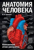 Анатомия человека: компактный атлас-раскраска - 0