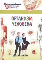 Организм человека