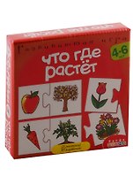Игра развивающая Дрофа-Медиа Ассоциации. Что где растет.