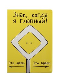 Обложка на автодокументы Я главный (KW063-000065)
