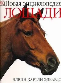 Лошади