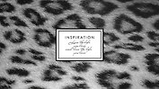 Планинг недатированный «Classic. Снежный барс», 64 листа, карманный - Listoff
