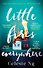 Little Fires Everywhere (Celeste Ng) И повсюду тлеют пожары (Селеста Инг) /Книги на английском языке - 0