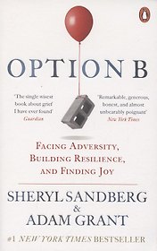 Option B. Facing Adversity, Building Resilience, and Finding Joy
