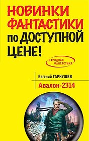 Авалон-2314: фантастический роман