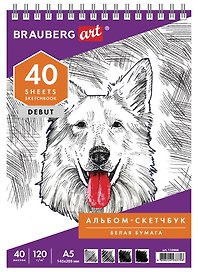 Скетчбук 145*205 40л белая бумага 120г/м2, гребень, жёстк.подложка, BRAUBERG ART DEBUT