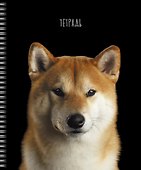Тетрадь общая «Selfie dog», 48 листов в клетку, A5, в ассортименте - Listoff - 2